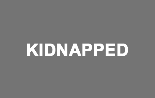 kidnapped  /  LukasFeichtner Galerie, 2009